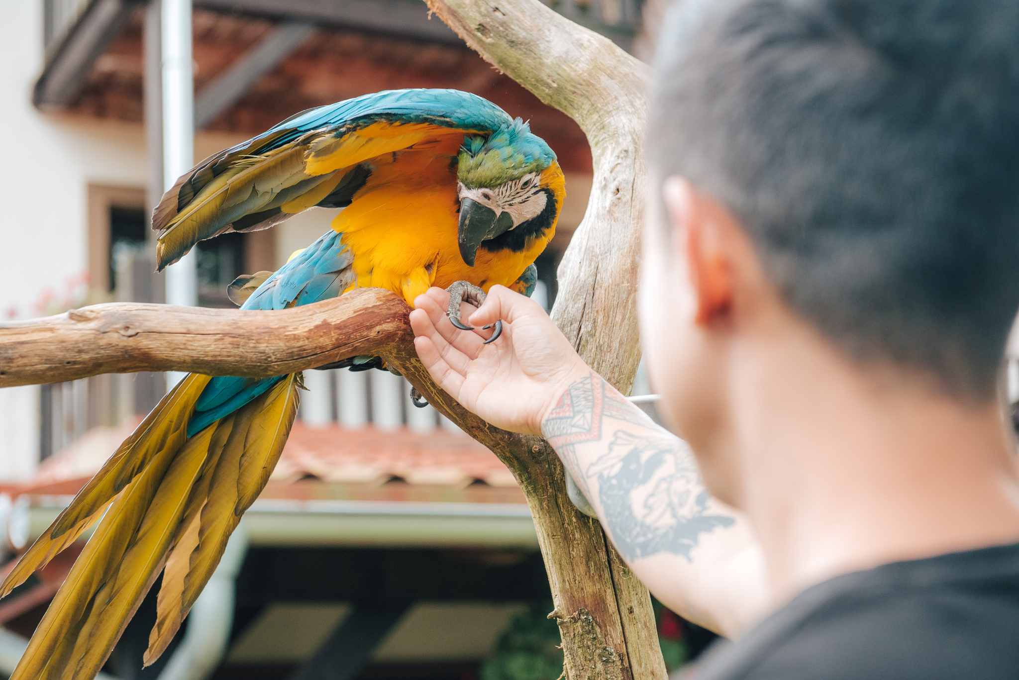 Daniel Veselý Fotograf Svatby Huyen Martin 2